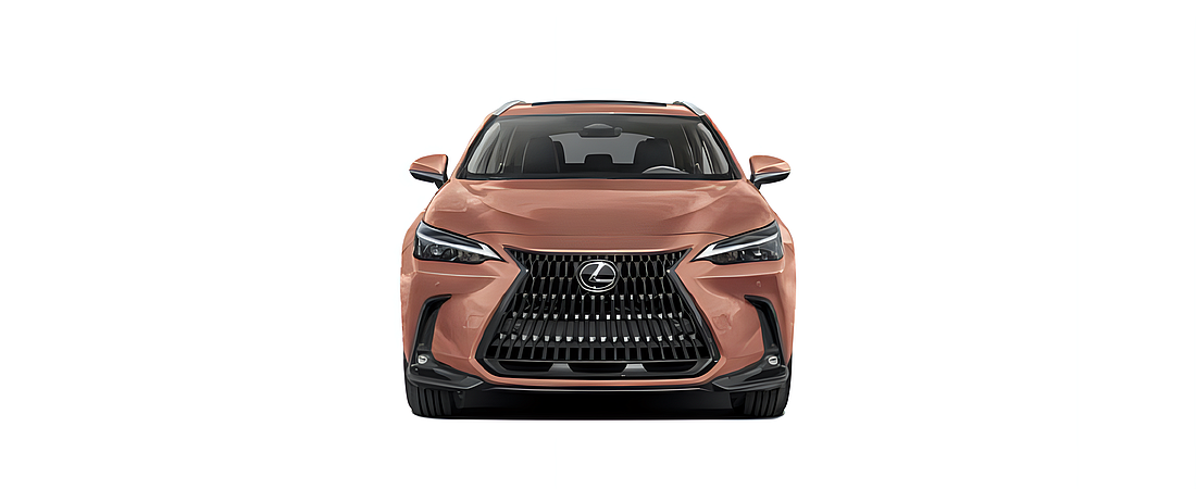 Lexus NX 2025 3