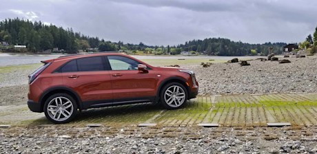 Editorial 2019 cadillac xt4 06 sw