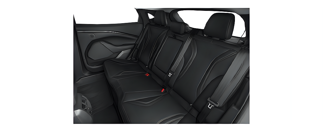 Ford Mustang Mach-E 2024 25