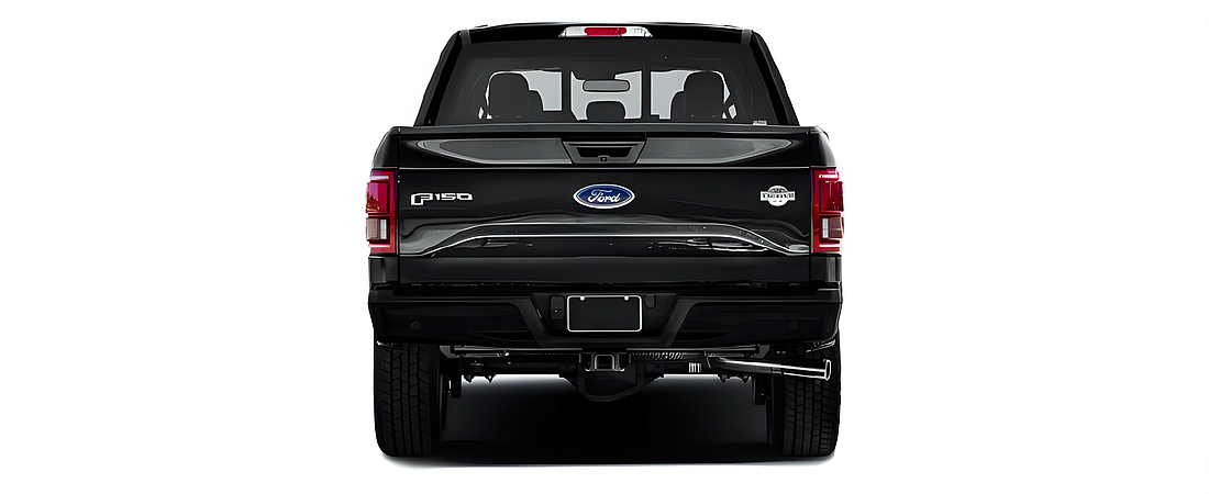 Ford F-150 2017 133