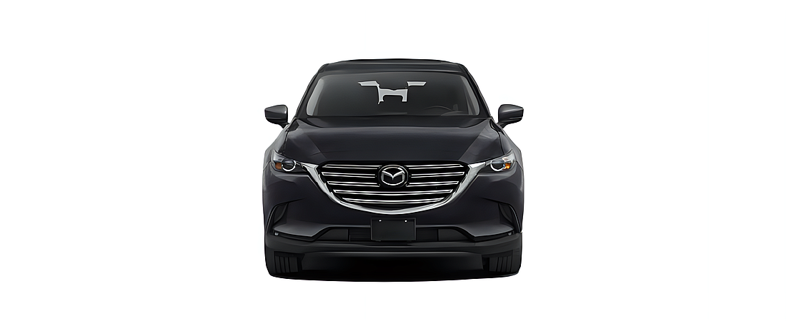 Mazda CX-9 2021 33