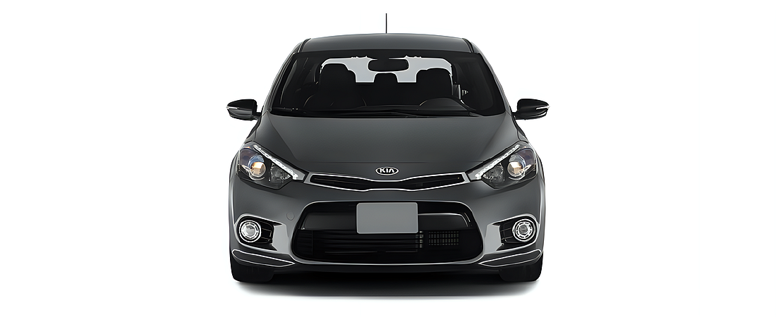 Kia Forte 5-Door 2015 4