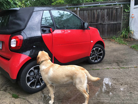 Editorial 2017 smart fortwo cabrio passion 13 sb