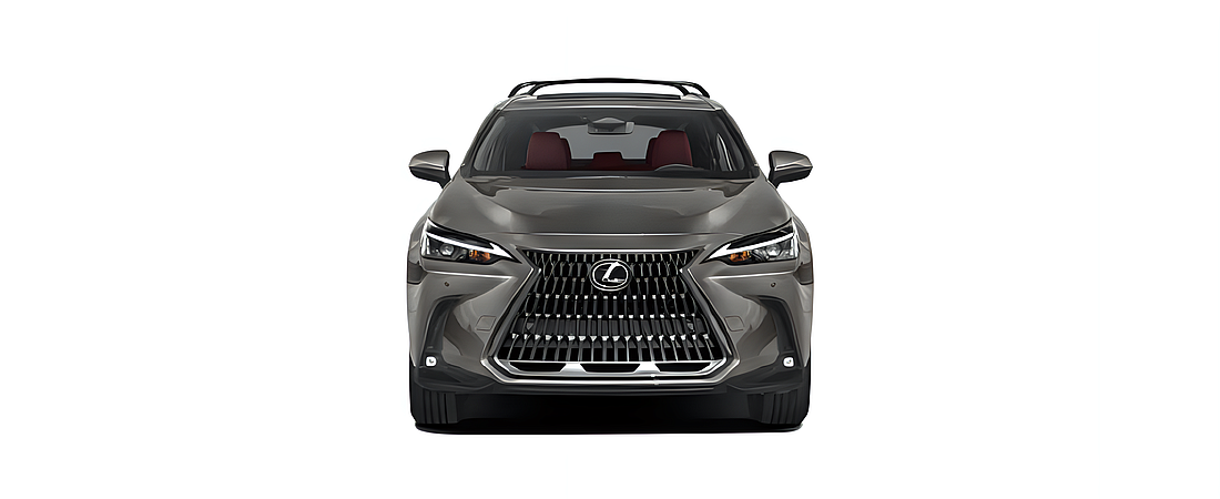 Lexus NX 2024 20