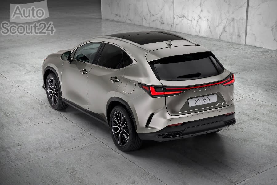 6 NX 350h (1).jpg