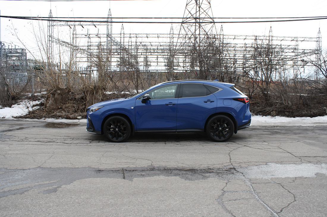 2026 Lexus NX350h - TD - DB - 260603 - 5.jpg
