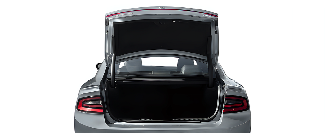 Dodge Charger 2016 44