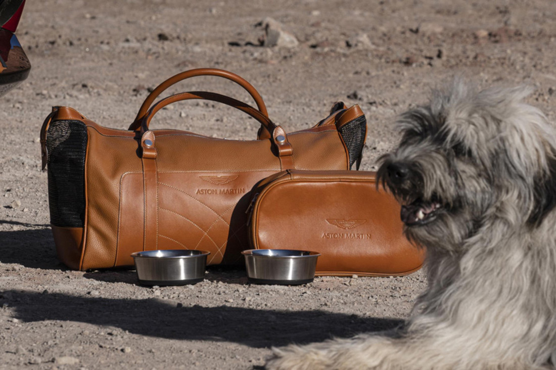 Aston Martin DBX Pet Pack (5).jpg