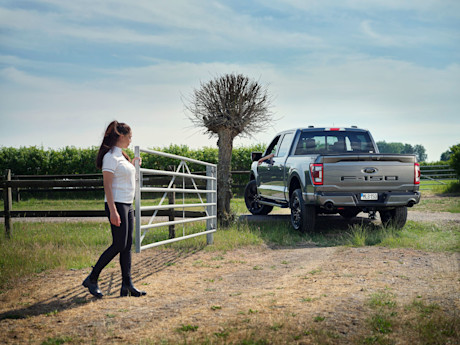 Ford-F150-Belgie-2025 01