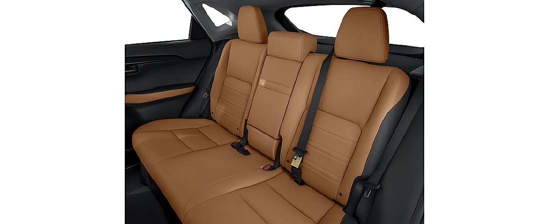 Lexus NX 2018 12