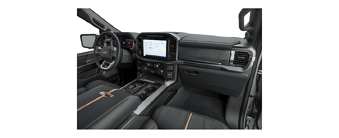 Ford F-150 2021 98