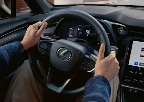 ADV61 - AutoScout24 adviespagina - Verklaring geen privégebruik auto foto