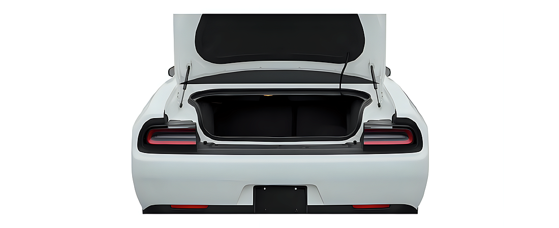 Dodge Challenger 2021 23