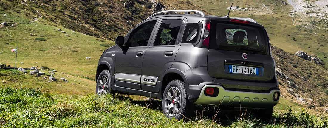 cZJuSNHiQBNmt5hqDYOcf-5f38ef748d15ee39182cfbe692d3dde6-fiat-panda-4x4-l-02-1100