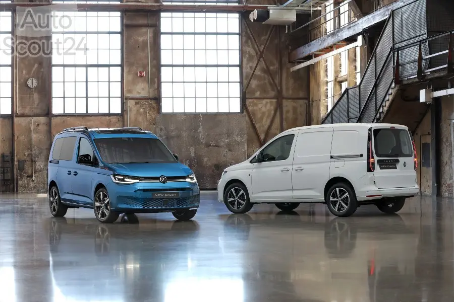 Familia Caddy (2) (1)