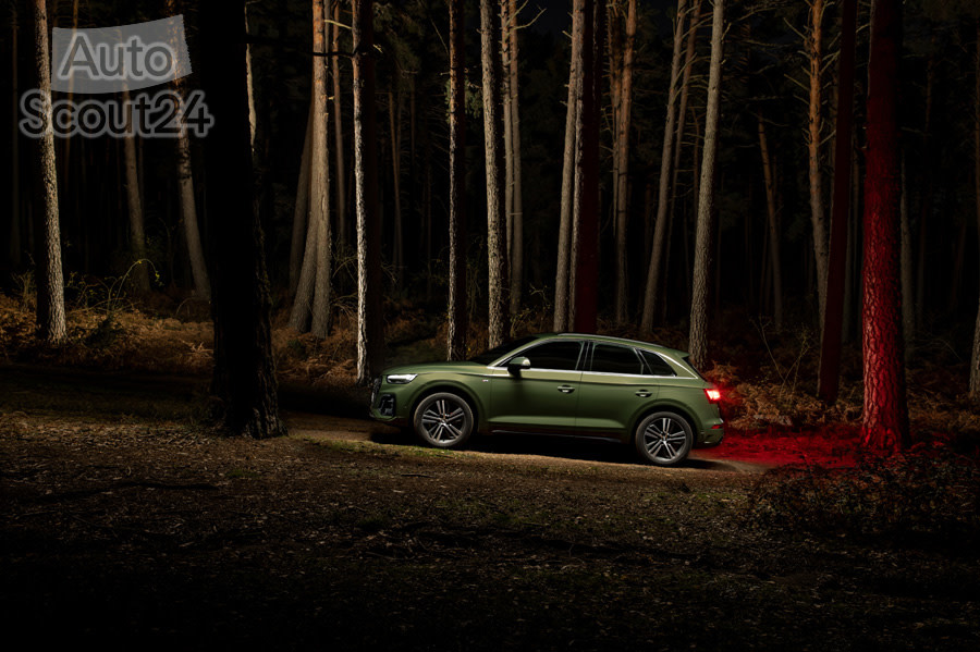 Audi Q5_43.jpg