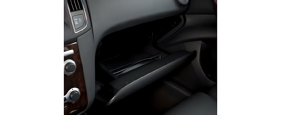 Nissan Maxima 2010 15
