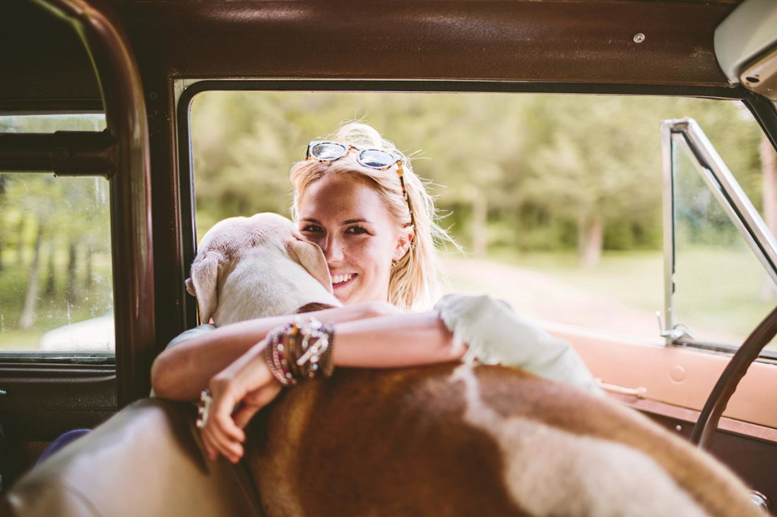 Die perfekten Hundeautos