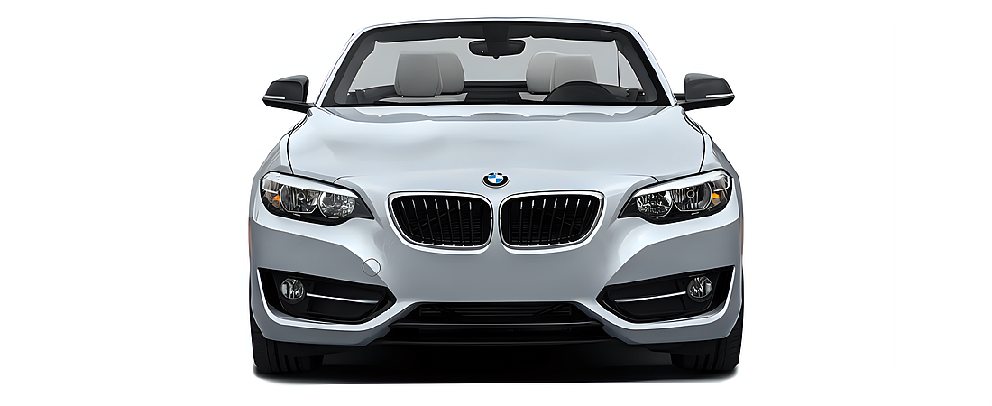 BMW 2 Series 2016 34