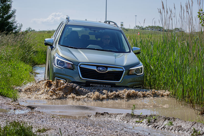 Forester e-BOXER_low-187-27026.jpg