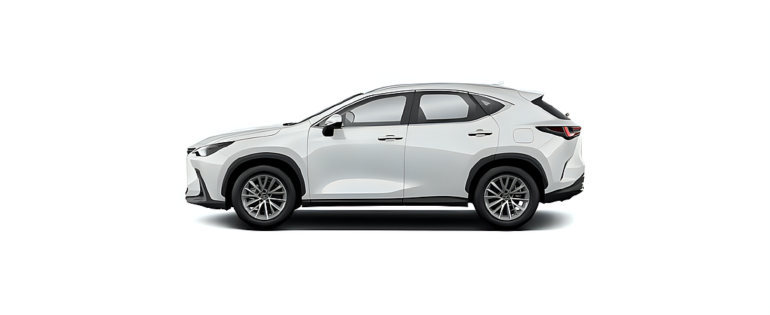 Lexus NX 2024 2