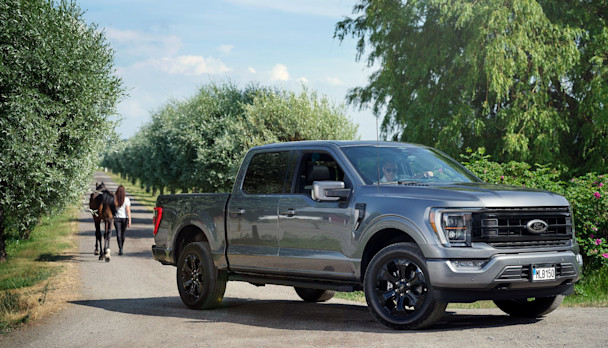 Ford F 150