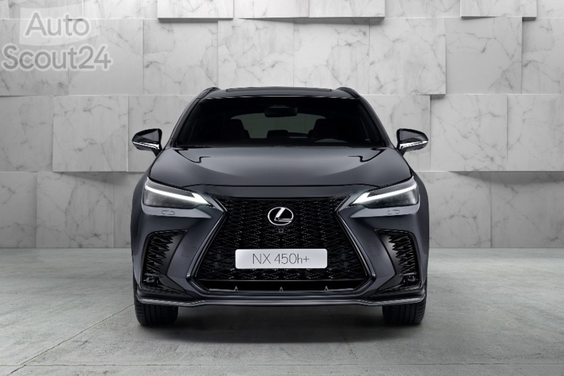 5 NX 450h+ (1).jpg