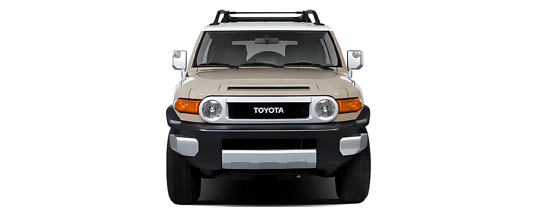 Toyota FJ Cruiser 2010 4