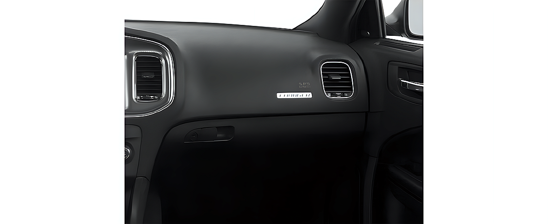 Dodge Charger 2013 33