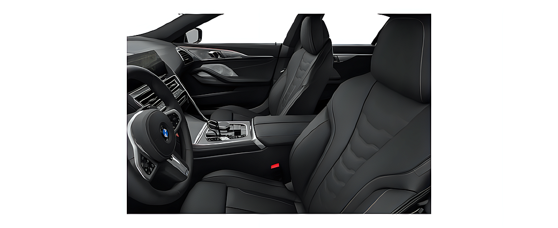 BMW 8 Series 2021 8