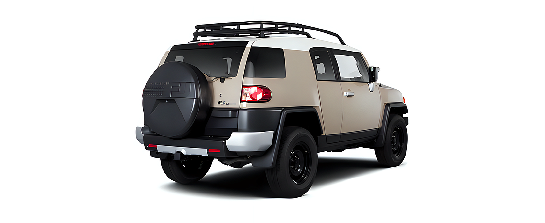 Toyota FJ Cruiser 2010 2