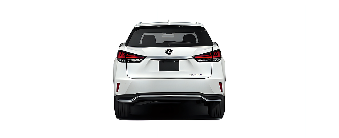 Lexus RX 2020 31