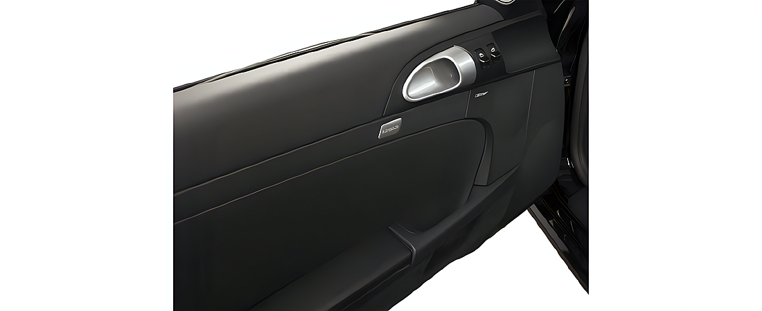 Porsche Cayman 2010 9