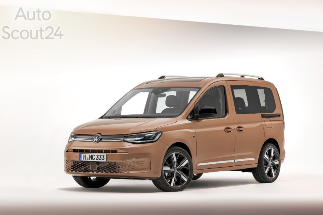 Cady Life (8) (1).jpg