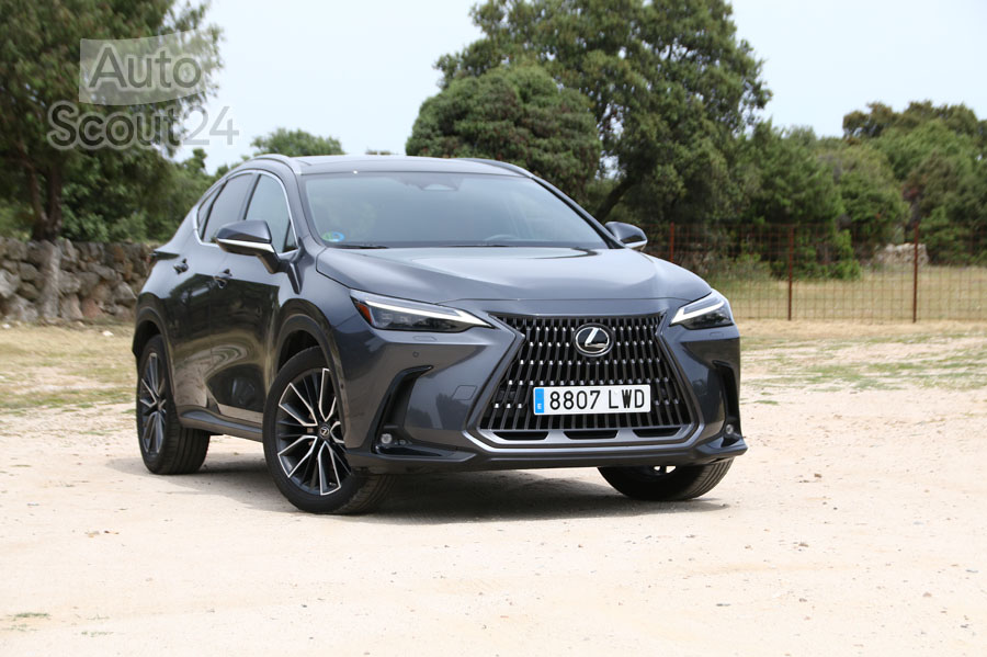 lexus-nx-350h (6).JPG