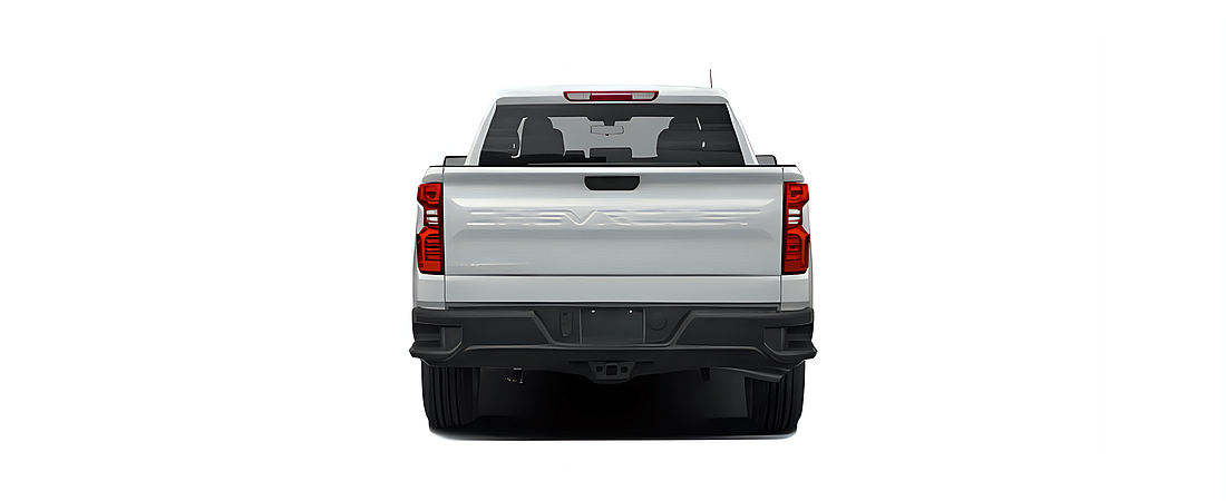 Chevrolet Silverado 1500 2020 30