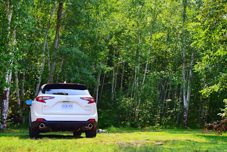 Editorial 2019 acura rdx a spec 16 jp