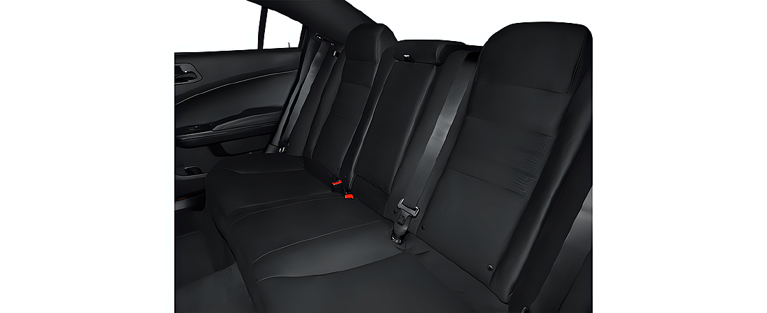 Dodge Charger 2014 13