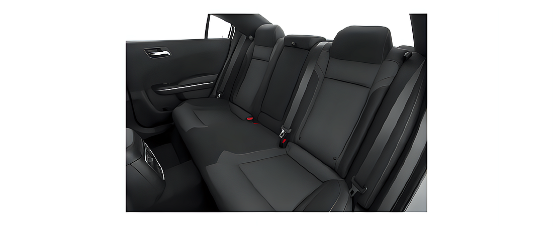 Dodge Charger 2021 24