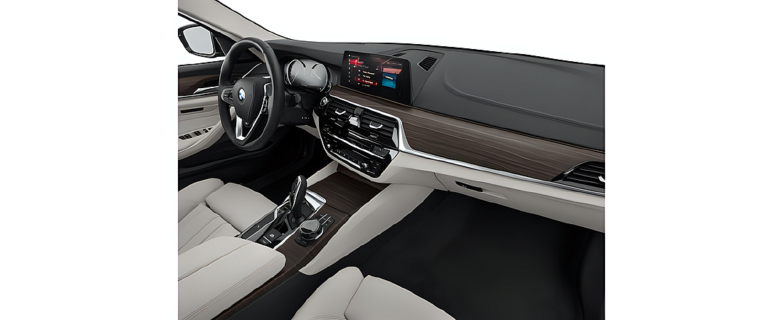 BMW 5 Series 2017 14