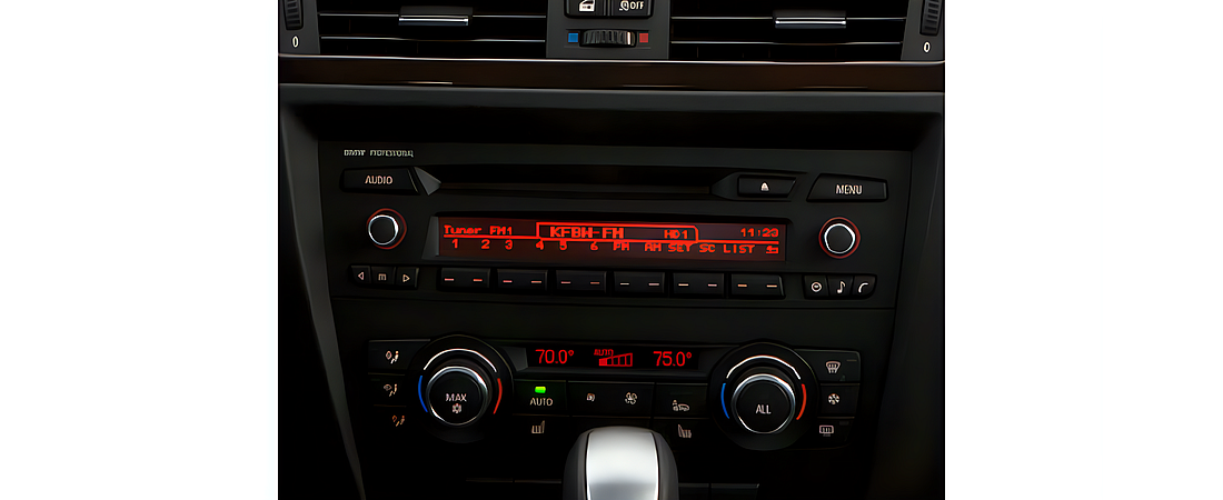 BMW 3 Series 2010 29