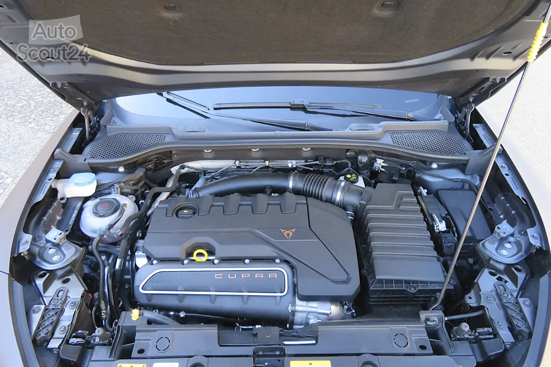 31 cupra formentor vz5