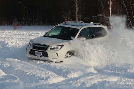 Editorial subaru forester 2017 by jil mcintosh 41