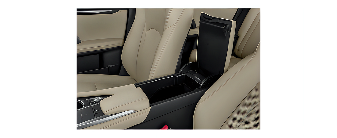 Lexus RX 2020 12