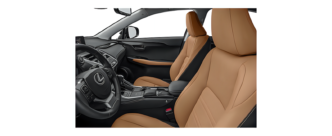Lexus NX 2021 8