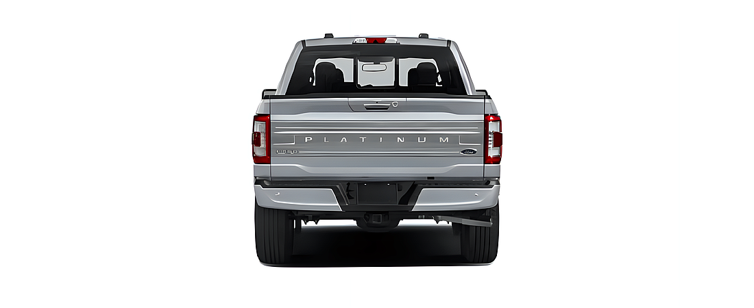 Ford F-150 2021 90