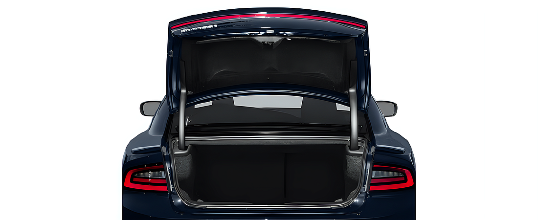 Dodge Charger 2016 12