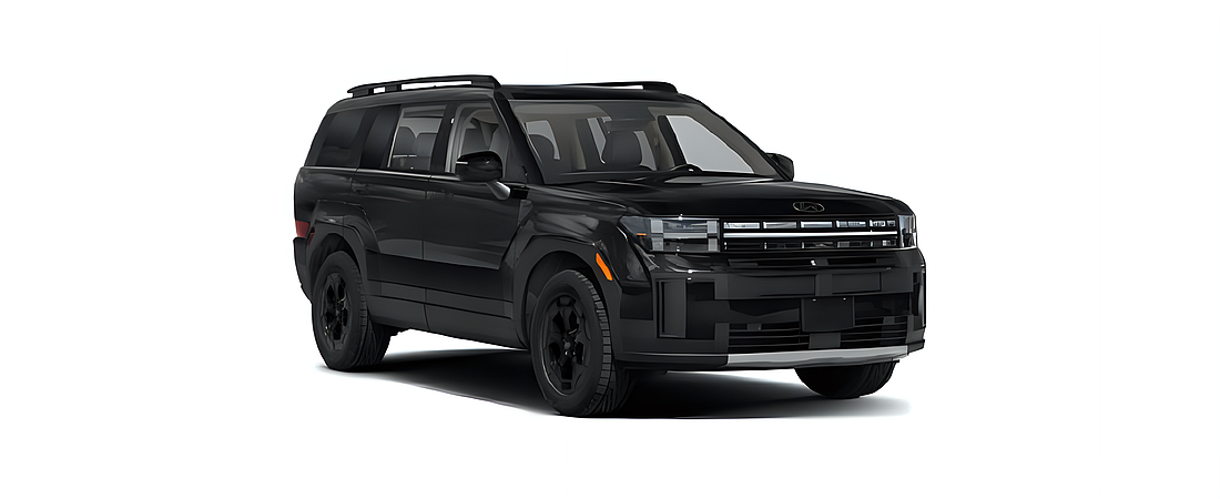 Hyundai Santa Fe 2024 2