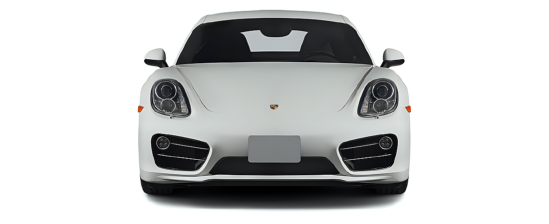 Porsche Cayman 2014 22