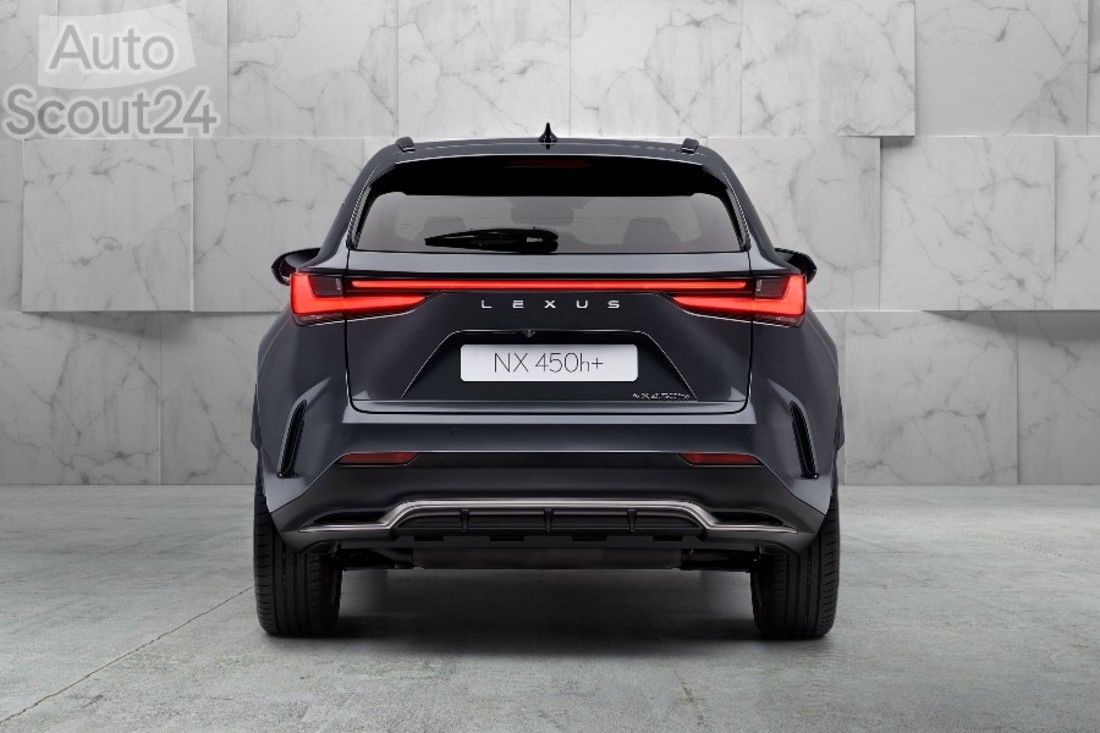 7 NX 450h+ (1).jpg